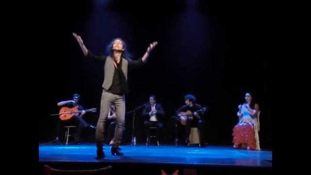 sigirilla, арт-кафе "Дуров", 29.05.15 смотреть онлайн