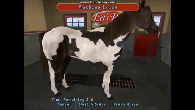 Let's Play Silver Buckle stables, part 2[3 COMPS?!?!] смотреть онлайн