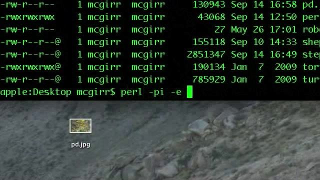 Stupid Perl Trick смотреть онлайн