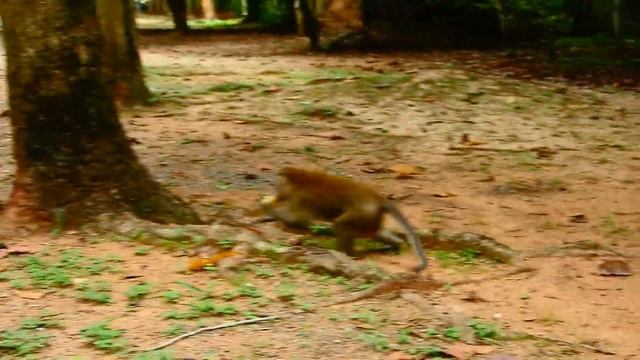 NICE CLIP!.. LITTLE BABY SHOCKING LOOK SCARY COS DADDY ARON TREAT STRANG смотреть онлайн