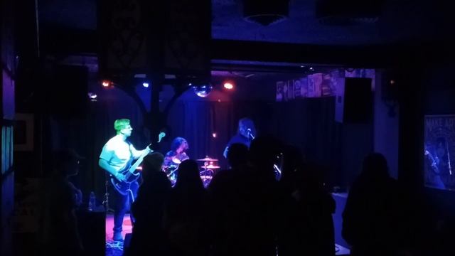 2/10/23 Vultures In Colorado Springs, Colorado