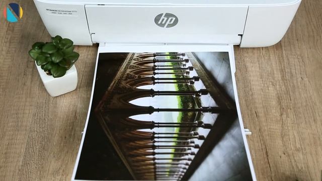 Epson PX-045A и HP DeskJet 3775 - сравнительный обзор смотреть онлайн