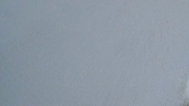 Пенопласт 1000/2000/100 мм-плотность 15 для зимнего курятника смотреть онлайн