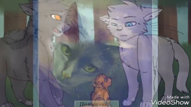 Интересные факты о Котах-Воителях/Как появились племена/И тест 😉 смотреть онлайн