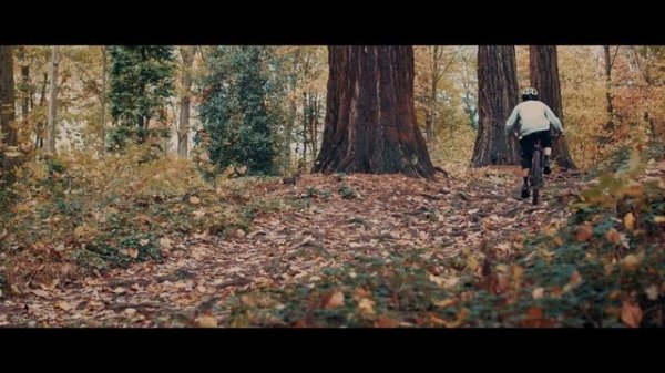 Freeride bike: Radon Swoop 9.0 Review | TrailTouch