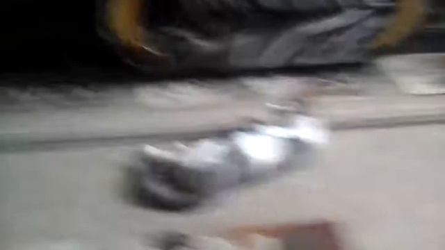 У КОТЕНКА ЛОМКИ! Ребята, помогите! смотреть онлайн