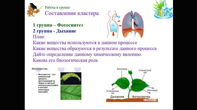 Химия. 8 класс. Химические реакции в природе и жизни человека. Учитель: Гурова Л.П. смотреть онлайн