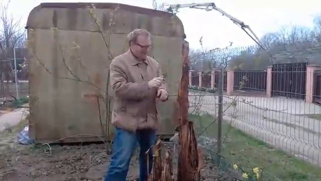 #Открыли #банан #куст он жив 24 03 2020 смотреть онлайн