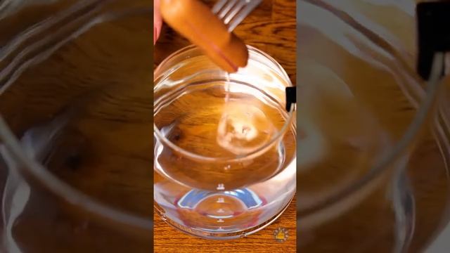 ЕСЛИ БЫ СЛАДОСТИ ОЖИЛИ | Ситуации, неловкие моменты и смешные провалы из жизни