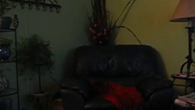 Canon PowerShot A80 Video Capture Live смотреть онлайн