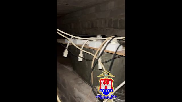 В Калининградской области оперативники пресекли деятельность подпольного наркоплантатора