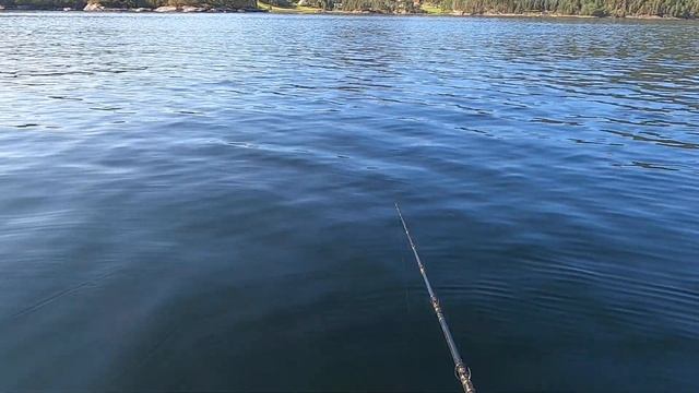 30 КГ РЫБЫ!ЛУЧШАЯ РЫБАЛКА 2021! В ГОСТЯХ У WOW FISHING! Трофейная РЫБАЛКА с Лодки!Рыбалка в Норвеги смотреть онлайн