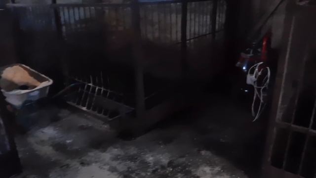 ЗА ЧТО НАМ ЭТО?! ПОСЛЕДНИЕ НОВОСТИ ПО ХОЗЯЙСТВУ.ПОЕЗДКИ И ПРОДАЖИ. смотреть онлайн