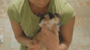 10 ЖУТКИХ БОЛЕЗНЕЙ КОШЕК, которые нужно знать. Как лечить котов