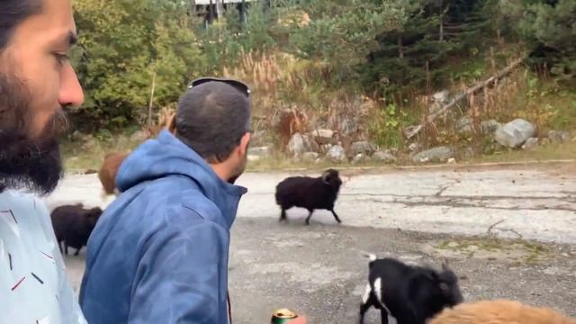 Поход до Мальовица в Рила Планина. Trip To Malyovitsa Peak In Rila Mountain Bulgaria With Jelio