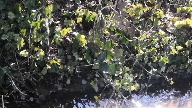 Az én édes kis falum Takács Fanni смотреть онлайн