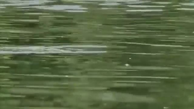 Поплавочный практикум 1 Пшено смотреть онлайн