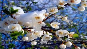 Какая погода в Турции в апреле и мае