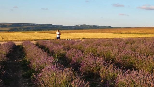 4. На машине в Крым. Июль 2022. Гуляем по лавандовым полям!!! смотреть онлайн
