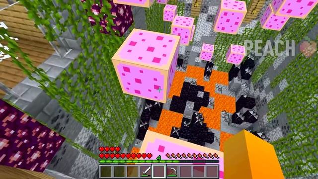 I found a DOOR PORTAL LONGEST DOOR in Minecraft ! NEW SECRET LONGEST DOOR PORTAL смотреть онлайн