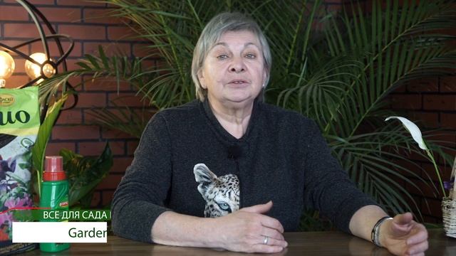 Эшшольция Посадки и Уход ✿ Советы от garden zoo смотреть онлайн