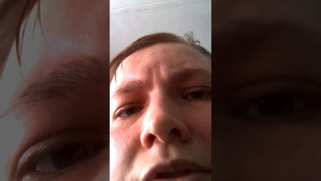 Как ставили начертание зверя в Магнитогорске