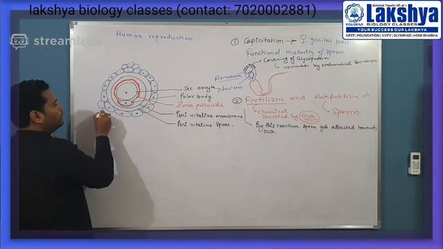 human reproduction ll lecture 6 ll смотреть онлайн