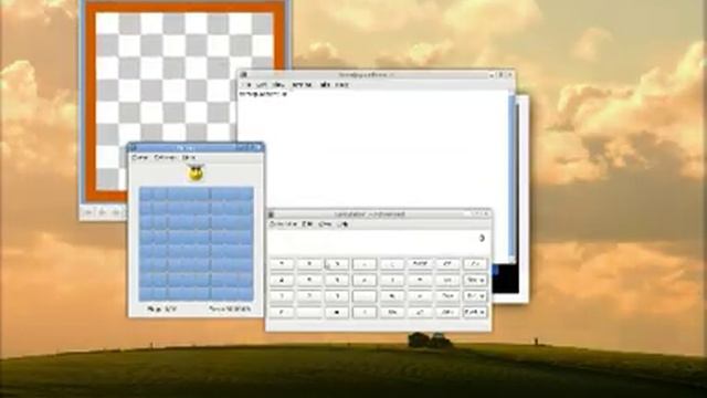 XVidCap and Compiz Fusion Test смотреть онлайн