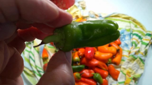 ПЕРЦЫ СТАНУТ ВКУСНЕЕ И АРОМАТНЕЕ!! Как просто ДОЗАРИТЬ сладкий перец. смотреть онлайн
