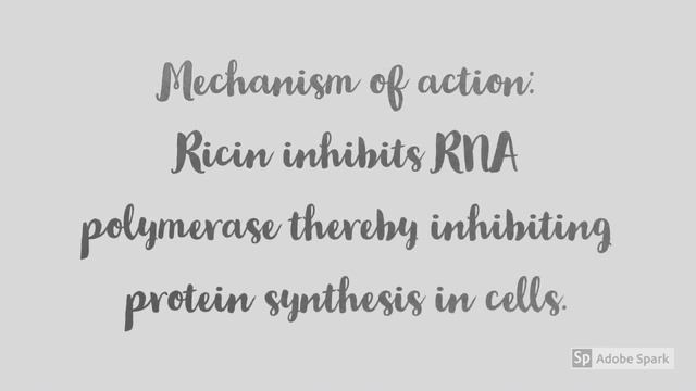 Ricinus communis: Toxicology смотреть онлайн