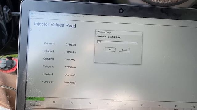 DIY BMW M57 Diesel 3.0l Injector Coding W/INPA