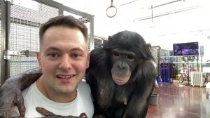Дан Запашный и шимпанзе Боня | Прямой эфир 14.04.2021