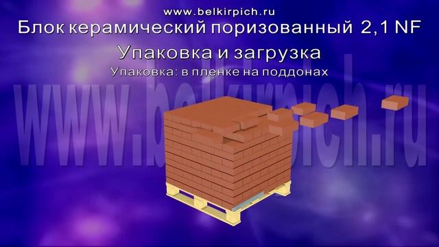 Блок керамический поризованный 2,1 NF. смотреть онлайн