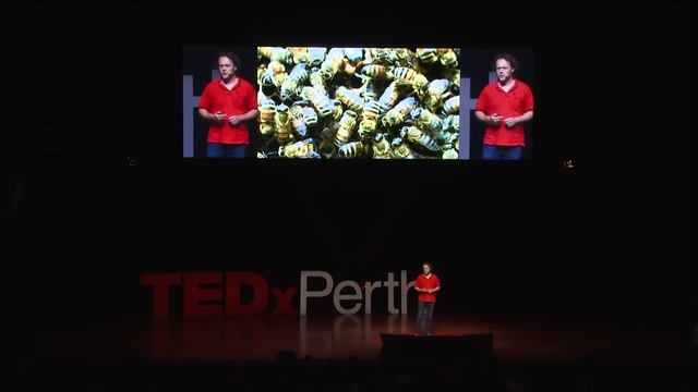 A world without waste | Adam Johnson | TEDxPerth смотреть онлайн