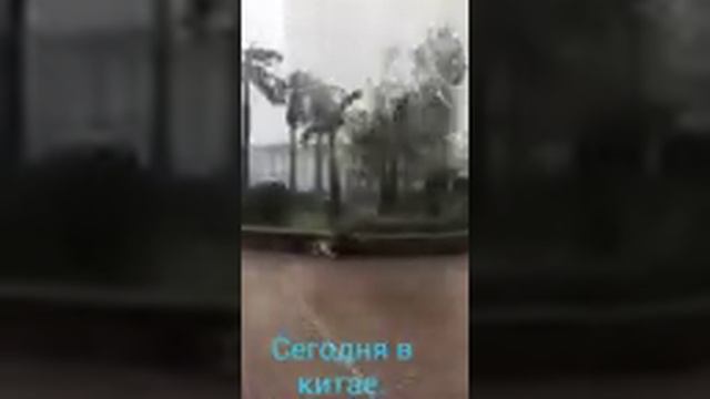 О боже,сегодня в Китае бл сильный ветер🙊 смотреть онлайн
