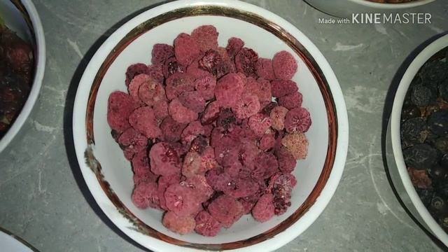 Лакомства и вкусняшки для шиншилл. смотреть онлайн