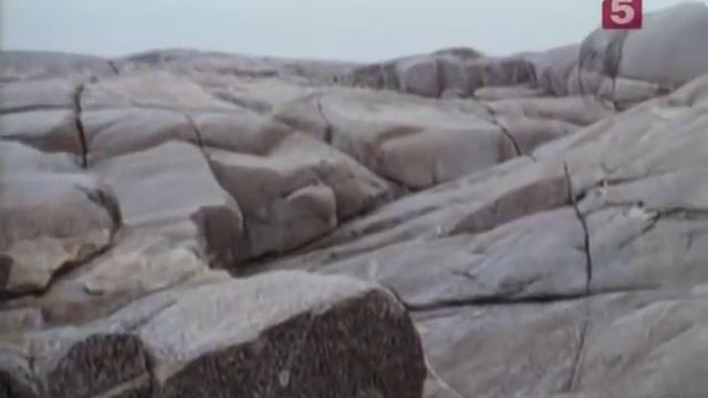 Тайна Дубового острова смотреть онлайн