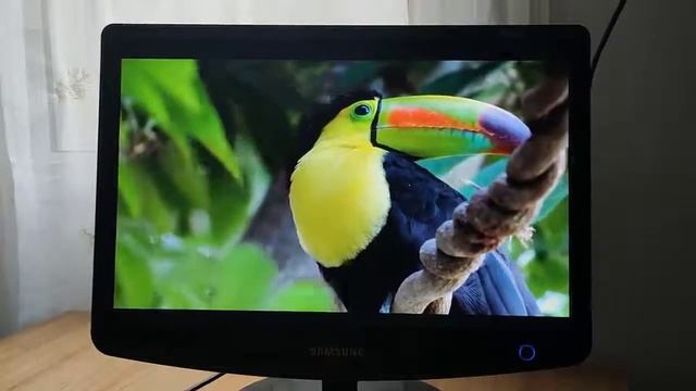 Monitor Samsung LCD SyncMaster 2032nw смотреть онлайн