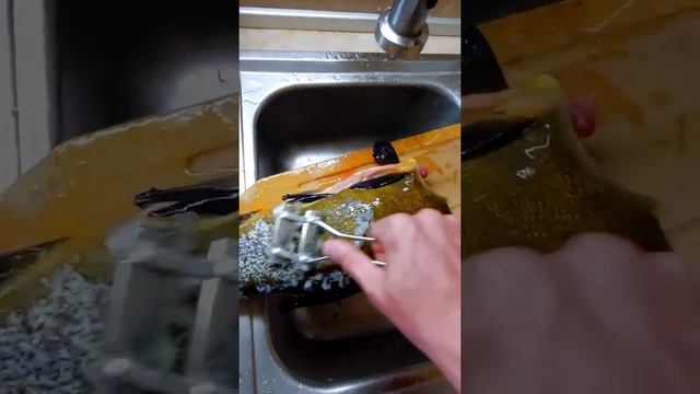 Чистим линя быстро! смотреть онлайн