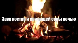 Звук костра и кричащей совы ночью