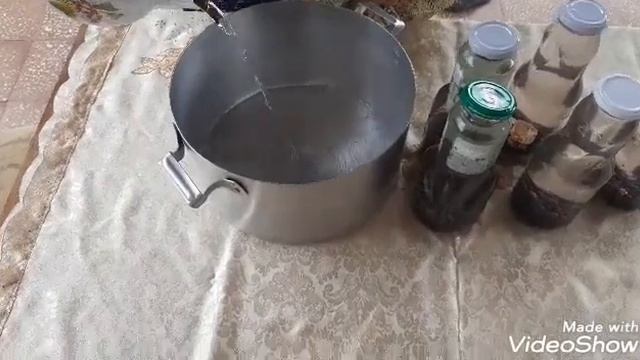 Qarağat kampotu смотреть онлайн