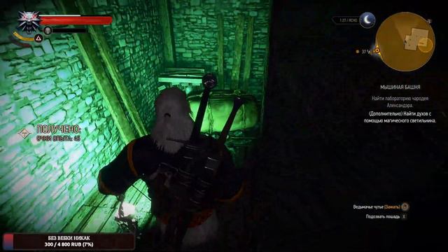 The Witcher 3: Wild Hunt. Прохождение. Кейра Мец #5 смотреть онлайн