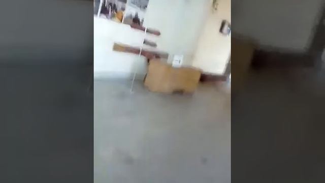 2 бесплатные выставки в музее в Рыбинске смотреть онлайн