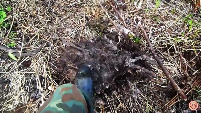 Участок в Подмосковье для занятия пчеловодством. Первые работы смотреть онлайн