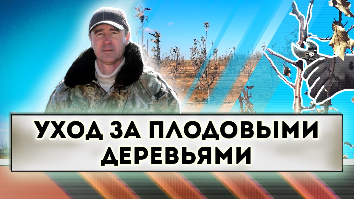 Уход за плодовыми деревьями. смотреть онлайн