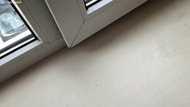Простая регулировка створки пластикового окна! Окно плохо закрывается летний и зимний режим Окна ПВ смотреть онлайн