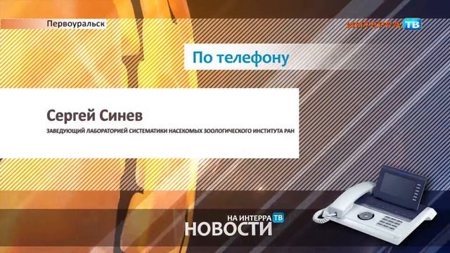 Моль СХ 1 30 07 14 смотреть онлайн