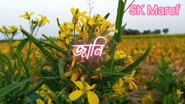 বোঝেনা সে বোঝেনা https://www.facebook.com/profile.php?id=100074626724852 смотреть онлайн