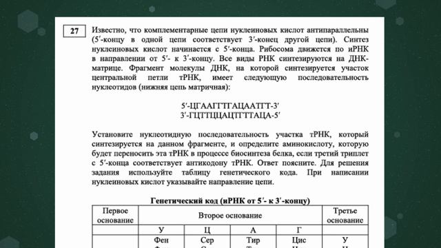 Цитология. Биосинтез белка: задание 27 из ЕГЭ по биологии | Задания ЕГЭ-2022 | «Фоксфорд» смотреть онлайн