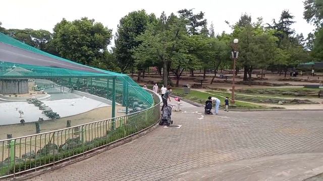 Тамошои боги хайвонот дар Кореяи Чануби/посещение Зоопарка в Ю. Корее/Visiting Zoo in S.Koreа. смотреть онлайн
